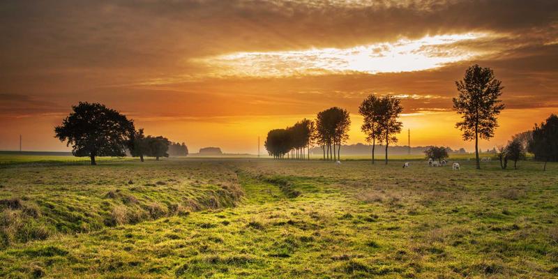 凯歌购进口保健品市场准入策略:三步精准筛选符合中国法规的海外爆品