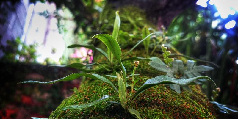 掘金进口个护新蓝海：从美容仪到冲牙器，凯歌购的赛道洞察与供应链破局之道