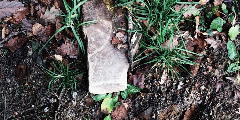 解码凯歌购美妆跨境选品逻辑:大数据如何精准捕获下一个进口小众品牌黑马